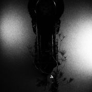 ゆっくり水曜日