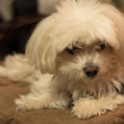 繋がってんだ…