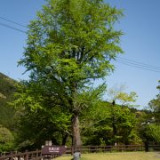 青空に浮かぶ山荘