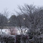 雪が…