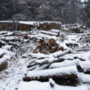 寒かった…