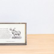 これでいいのだ…