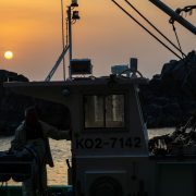 カレンダー担当月