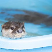 消えてしまった投稿