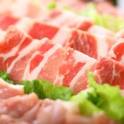 肉肉肉