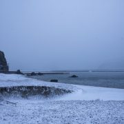 snow kochi