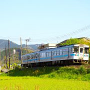 畑で撮影