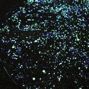 東へ西へ(西編)