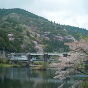 軽くドライブ