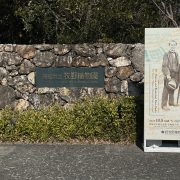 今日はこちら！