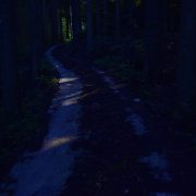 まだ出ないのか!?