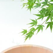 和菓子な撮影