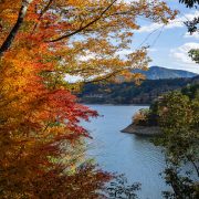 間に合った紅葉…