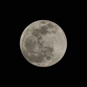 flying full moon
