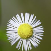 梅雨時期に晴れ