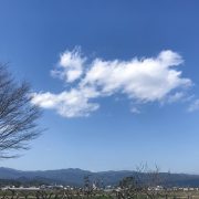 ほのぼの…