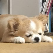 遊んだあとは…