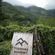 中止のため…
