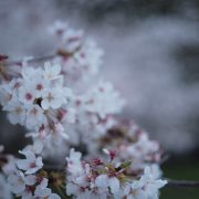 気を抜くと…
