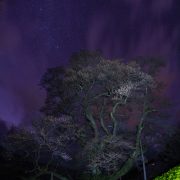 星が見えますか!?