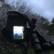 晴れるのかな？