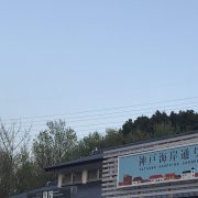 また半年後…