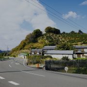 島を散策