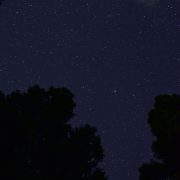 掃除して…