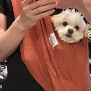 落ち着くところ…