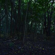 しばらく雨…