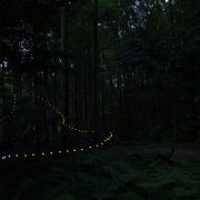 まだ始まったばかりか!?