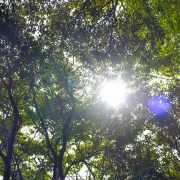 いい天気の土曜日