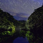 蛍はじめました
