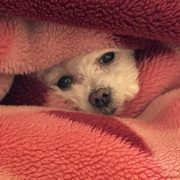 なんて顔してるんだ…