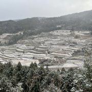 寒い…