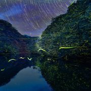失敗から…