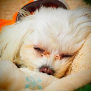 夜中に目が覚めて…