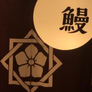 電球に鰻
