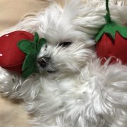 先までオッケー