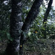 山、海、山