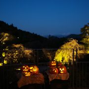 今年最後の「よるまきの」