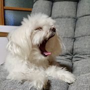 本当に色々…