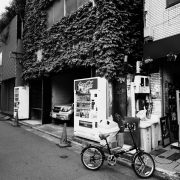 気まぐれ友人