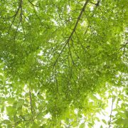 公園にて