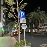 嘘ついてもいい日