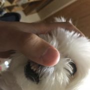 撮影裏話