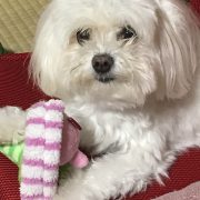 ウメかわいい…