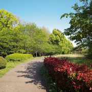 近くの公園で…