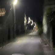 店内 CAT FIGHT!!