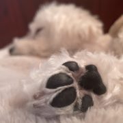 比べると“ヒマ”…